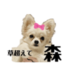 激シブな日常（個別スタンプ：2）
