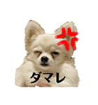 激シブな日常（個別スタンプ：3）