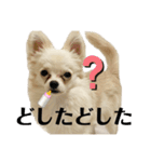 激シブな日常（個別スタンプ：6）