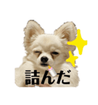 激シブな日常（個別スタンプ：8）