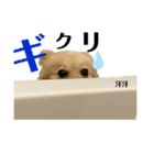 激シブな日常（個別スタンプ：10）