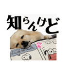 激シブな日常（個別スタンプ：11）