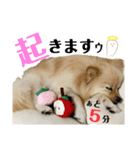 激シブな日常（個別スタンプ：14）