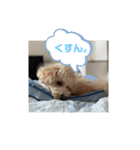 ポノちゃんスタンプその12（個別スタンプ：2）