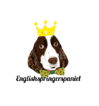 EnglishSpringerSpaniel W00DS 5（個別スタンプ：1）