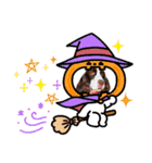 EnglishSpringerSpaniel W00DS 5（個別スタンプ：3）