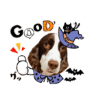 EnglishSpringerSpaniel W00DS 5（個別スタンプ：9）