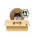 ねこ大好き〜オペラ（個別スタンプ：2）