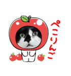 ねこ大好き〜オペラ（個別スタンプ：13）