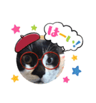ねこ大好き〜オペラ（個別スタンプ：25）