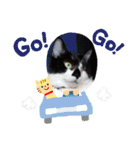ねこ大好き〜オペラ（個別スタンプ：37）