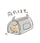 茶猫アメショの使いやすいスタンプ（個別スタンプ：8）