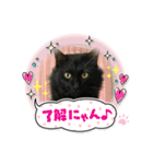 黒猫ちょこくん（個別スタンプ：6）