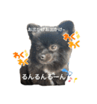 はるた＆ふゆた2（個別スタンプ：16）
