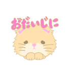 猫ましゅ（個別スタンプ：8）