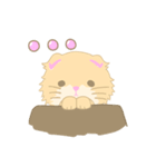 猫ましゅ（個別スタンプ：20）