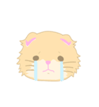 猫ましゅ（個別スタンプ：33）