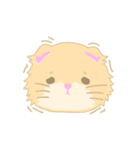 猫ましゅ（個別スタンプ：36）