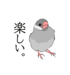 率直な文鳥（個別スタンプ：1）