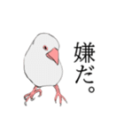 率直な文鳥（個別スタンプ：4）