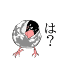 率直な文鳥（個別スタンプ：7）