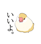 率直な文鳥（個別スタンプ：8）