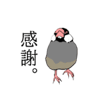 率直な文鳥（個別スタンプ：9）