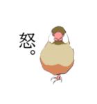 率直な文鳥（個別スタンプ：10）