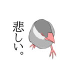 率直な文鳥（個別スタンプ：11）