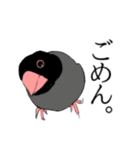 率直な文鳥（個別スタンプ：13）