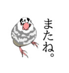 率直な文鳥（個別スタンプ：14）