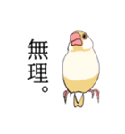 率直な文鳥（個別スタンプ：15）