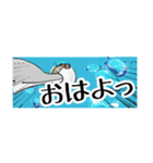 釣るぺた！スタンプ1（個別スタンプ：1）