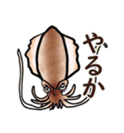 釣るぺた！スタンプ1（個別スタンプ：21）