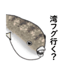 釣るぺた！スタンプ1（個別スタンプ：29）