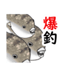 釣るぺた！スタンプ1（個別スタンプ：30）