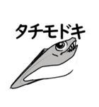 釣るぺた！スタンプ1（個別スタンプ：36）
