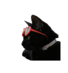 黒猫オレオのスタンプ（個別スタンプ：2）