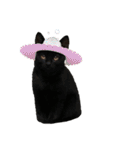黒猫オレオのスタンプ（個別スタンプ：5）