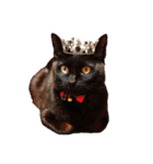 黒猫オレオのスタンプ（個別スタンプ：6）