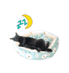黒猫オレオのスタンプ（個別スタンプ：14）