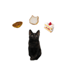 黒猫オレオのスタンプ（個別スタンプ：17）
