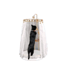 黒猫オレオのスタンプ（個別スタンプ：19）