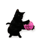 黒猫オレオのスタンプ（個別スタンプ：24）