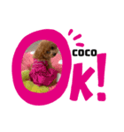 世界一のPrincess（個別スタンプ：1）