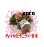 世界一のPrincess（個別スタンプ：7）