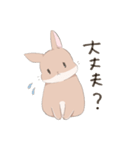 うさぎのきゅたさん3（個別スタンプ：4）