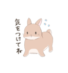 うさぎのきゅたさん3（個別スタンプ：5）