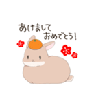うさぎのきゅたさん3（個別スタンプ：13）