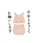 うさぎのきゅたさん3（個別スタンプ：14）